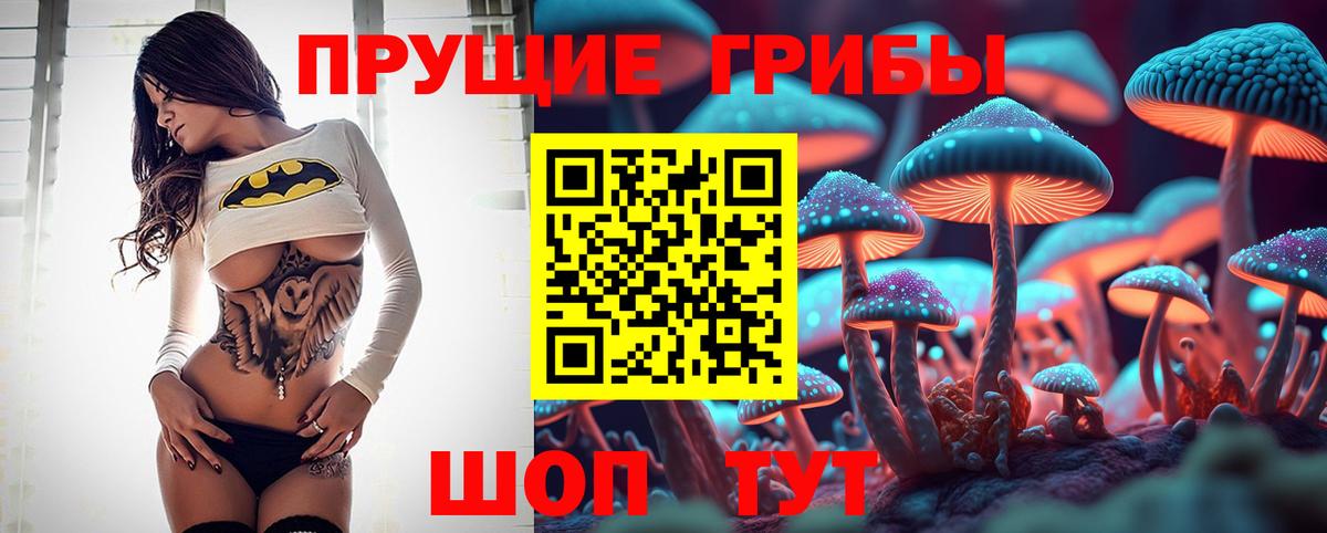 хочу   Вход с VPN  Нальчик  Псилоцибиновые грибы Psilocybine cubensis 